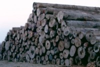 藏品(1950至2006年臺灣常民生活)的圖片