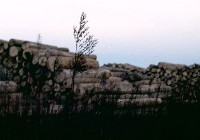 藏品(1950至2006年臺灣常民生活)的圖片