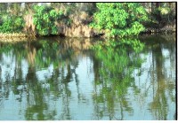 藏品(1950至2006年臺灣常民生活)的圖片