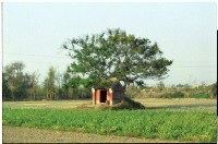 藏品(1950至2006年臺灣常民生活)的圖片