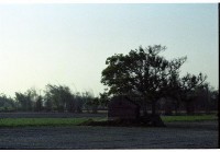 藏品(1950至2006年臺灣常民生活)的圖片