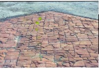 藏品(1950至2006年臺灣常民生活)的圖片