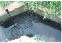 藏品(1950至2006年臺灣常民生活)的圖片