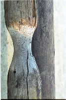 藏品(1950至2006年臺灣常民生活)的圖片