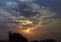 藏品(1950至2006年臺灣常民生活)的圖片