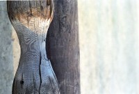 藏品(1950至2006年臺灣常民生活)的圖片