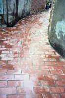 藏品(1950至2006年臺灣常民生活)的圖片