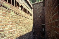 藏品(1950至2006年臺灣常民生活)的圖片