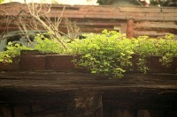 藏品(1950至2006年臺灣常民生活)的圖片