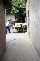 藏品(1950至2006年臺灣常民生活)的圖片
