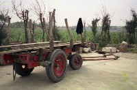 藏品(1950至2006年臺灣常民生活)的圖片