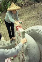 藏品(1950至2006年臺灣常民生活)的圖片