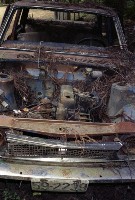 藏品(1950至2006年臺灣常民生活)的圖片