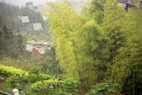 藏品(1950至2006年臺灣常民生活)的圖片