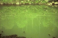 藏品(1950至2006年臺灣常民生活)的圖片