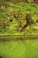 藏品(1950至2006年臺灣常民生活)的圖片