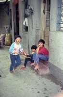 藏品(1950至2006年臺灣常民生活)的圖片