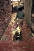 藏品(1950至2006年臺灣常民生活)的圖片