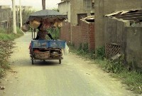 藏品(1950至2006年臺灣常民生活)的圖片