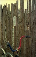 藏品(1950至2006年臺灣常民生活)的圖片