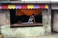 藏品(1950至2006年臺灣常民生活)的圖片