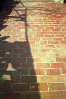 藏品(1950至2006年臺灣常民生活)的圖片