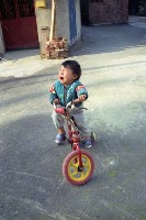 藏品(1950至2006年臺灣常民生活)的圖片