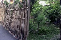 藏品(1950至2006年臺灣常民生活)的圖片