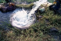 藏品(1950至2006年臺灣常民生活)的圖片