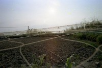 藏品(1950至2006年臺灣常民生活)的圖片