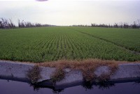 藏品(1950至2006年臺灣常民生活)的圖片