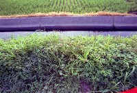 藏品(1950至2006年臺灣常民生活)的圖片