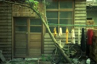 藏品(1950至2006年臺灣常民生活)的圖片