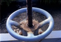 藏品(1950至2006年臺灣常民生活)的圖片