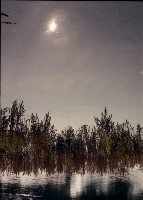 藏品(1950至2006年臺灣常民生活)的圖片