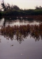 藏品(1950至2006年臺灣常民生活)的圖片