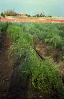 藏品(1950至2006年臺灣常民生活)的圖片