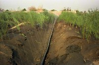 藏品(1950至2006年臺灣常民生活)的圖片