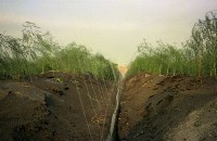 藏品(1950至2006年臺灣常民生活)的圖片