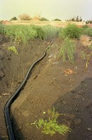 藏品(1950至2006年臺灣常民生活)的圖片