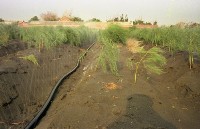 藏品(1950至2006年臺灣常民生活)的圖片