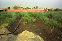 藏品(1950至2006年臺灣常民生活)的圖片