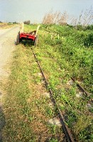 藏品(1950至2006年臺灣常民生活)的圖片