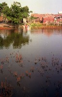 藏品(1950至2006年臺灣常民生活)的圖片