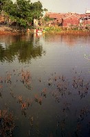 藏品(1950至2006年臺灣常民生活)的圖片