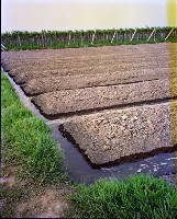 藏品(1950至2006年臺灣常民生活)的圖片