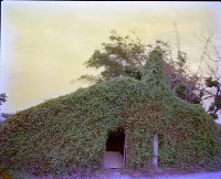 藏品(1950至2006年臺灣常民生活)的圖片