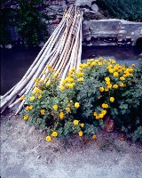 藏品(1950至2006年臺灣常民生活)的圖片