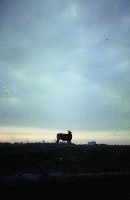 藏品(1950至2006年臺灣常民生活)的圖片