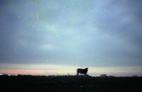 藏品(1950至2006年臺灣常民生活)的圖片